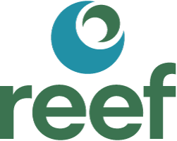 Reef Environmental
